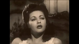 872 hairy pussy porn videos